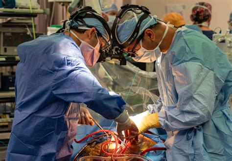 Heart Surgeon Salary: A Comprehensive Guide to Earnings in 2024
