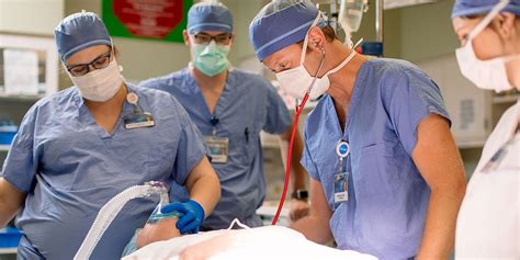 What Does a CRNA Do?